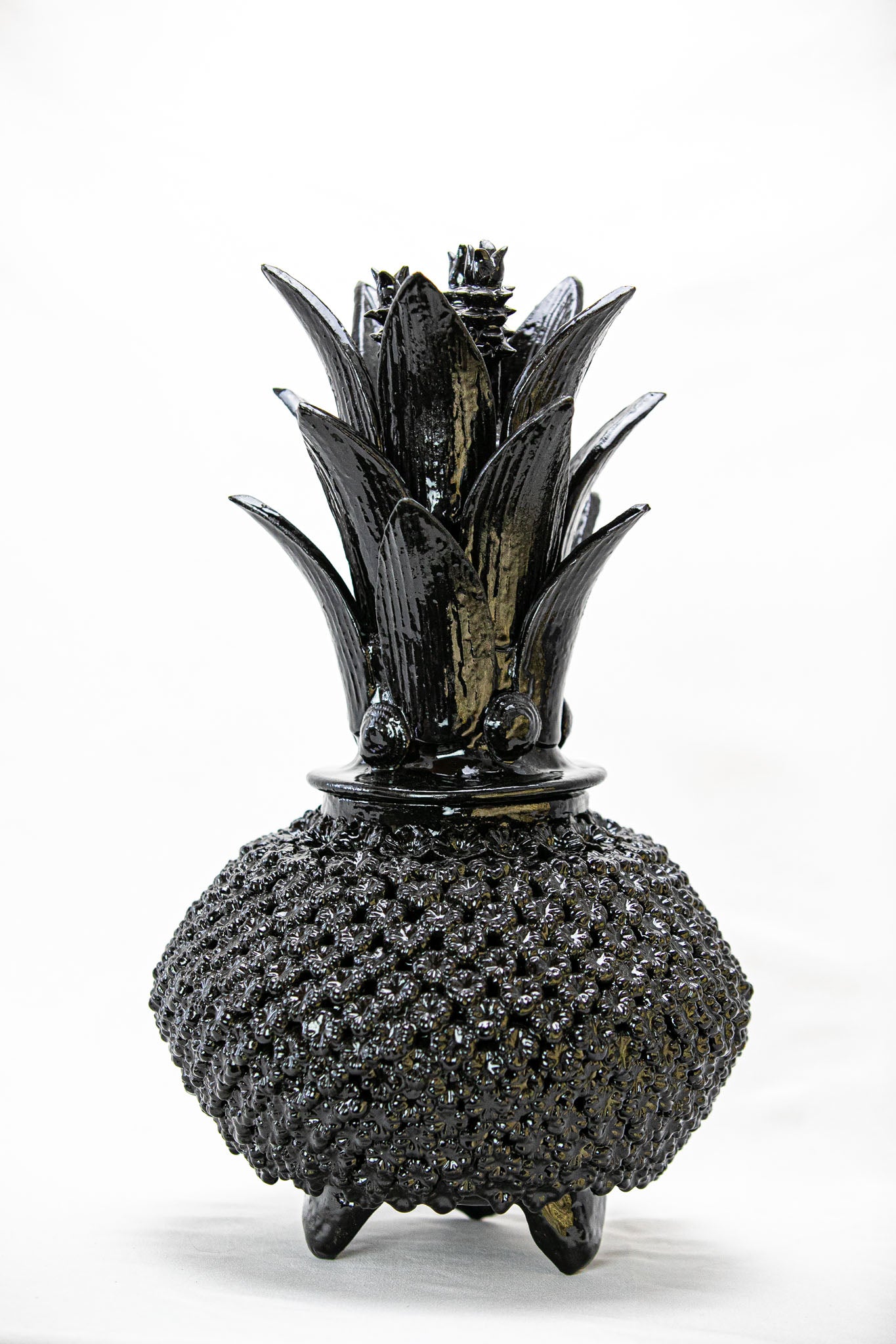 Piña conchita