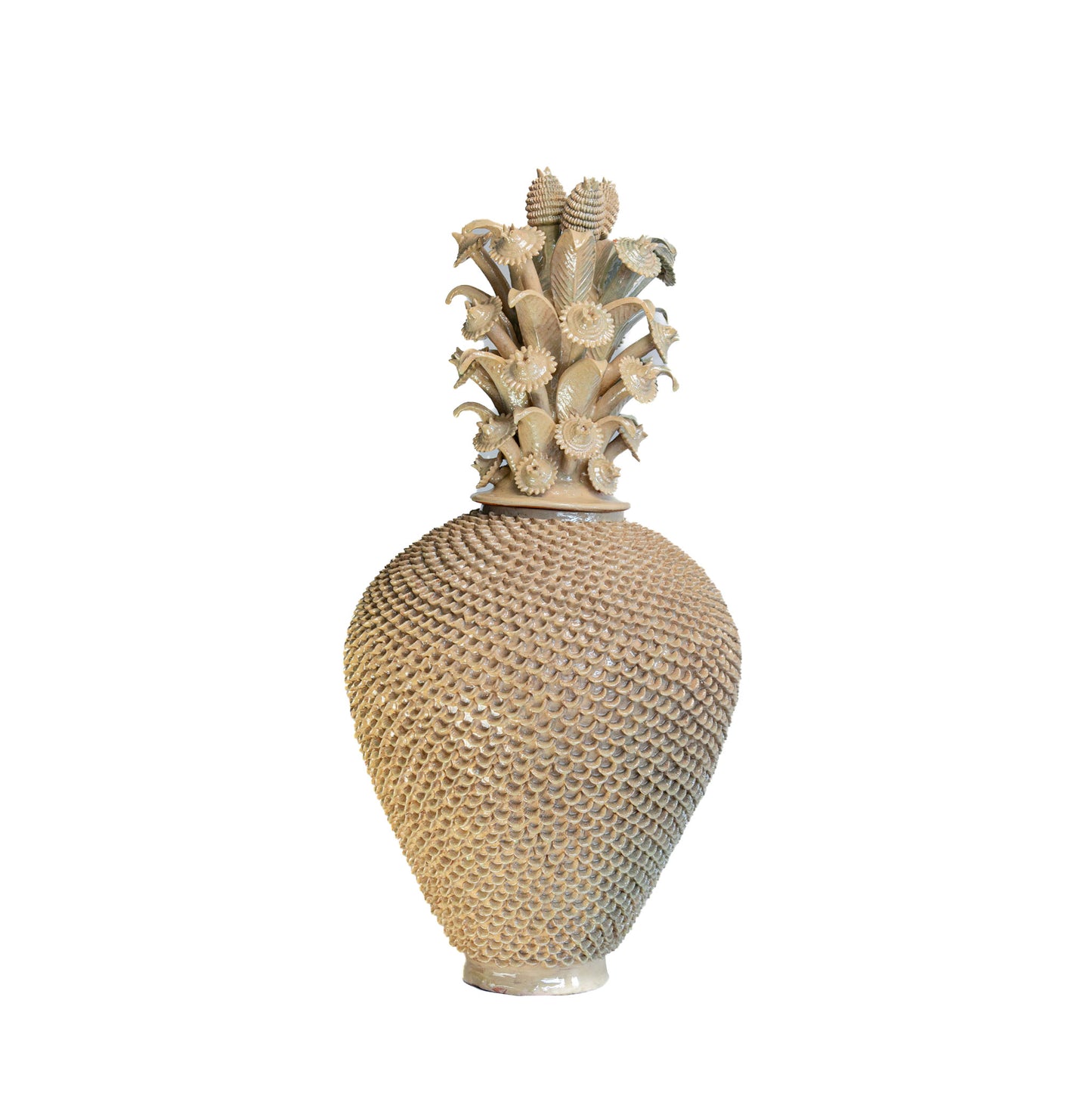 Piña Conchita