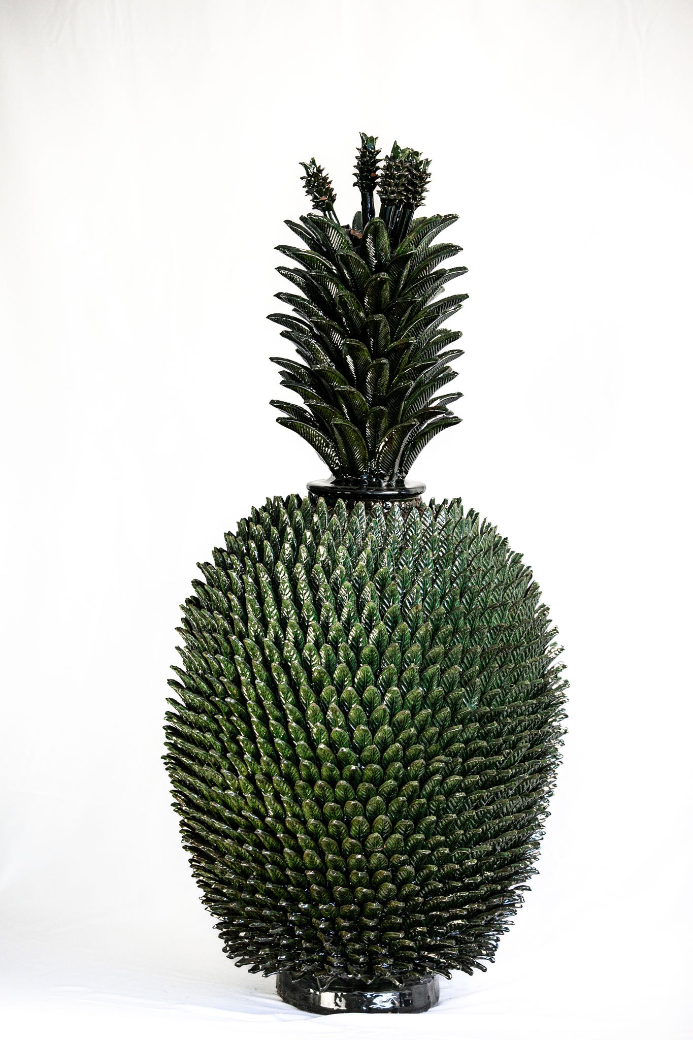 Piña de hojas